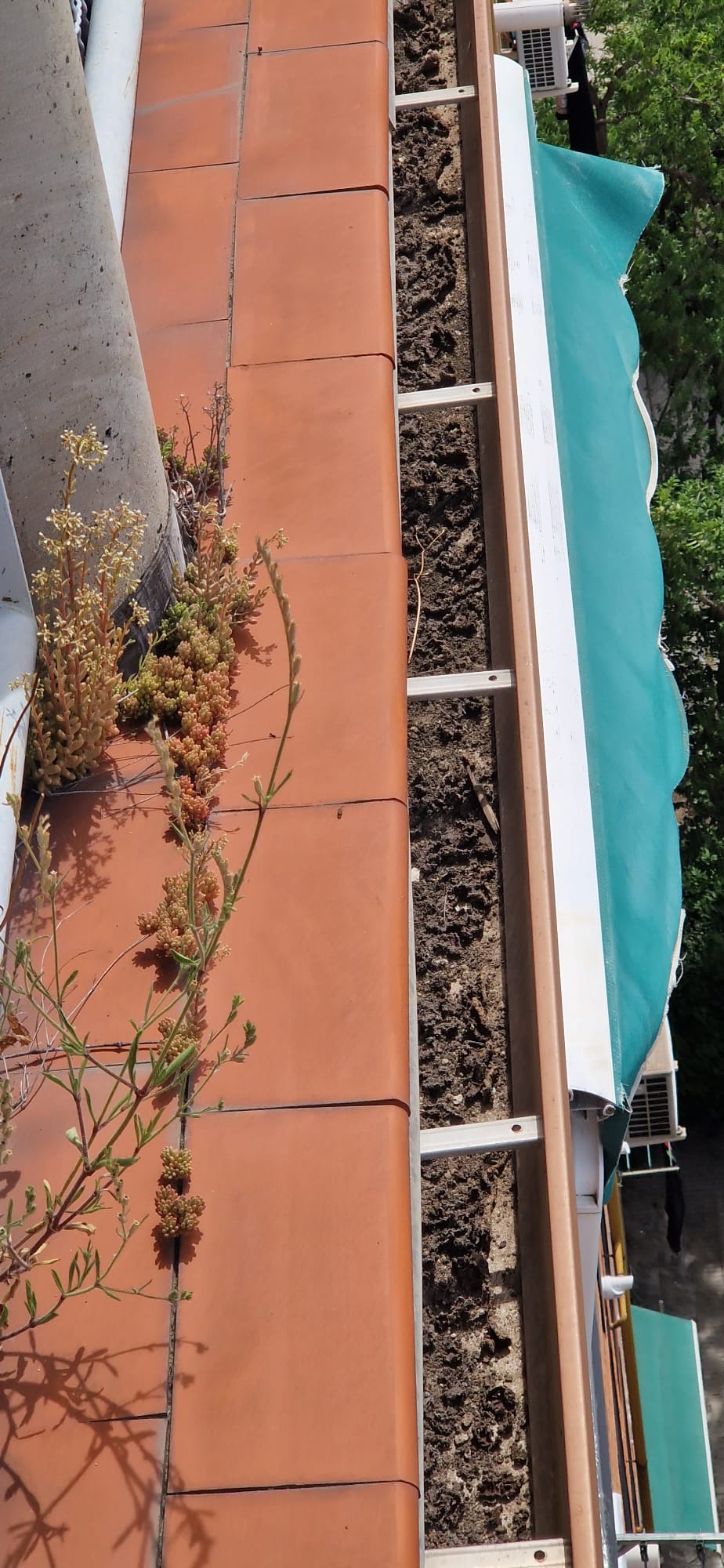 Limpieza de canalón