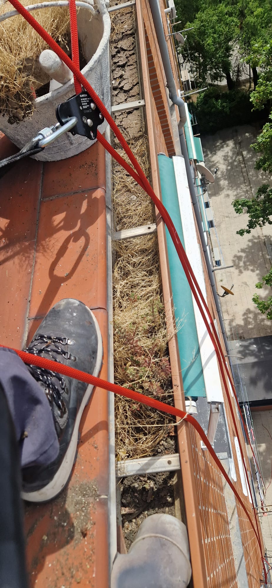 Limpieza de canalón