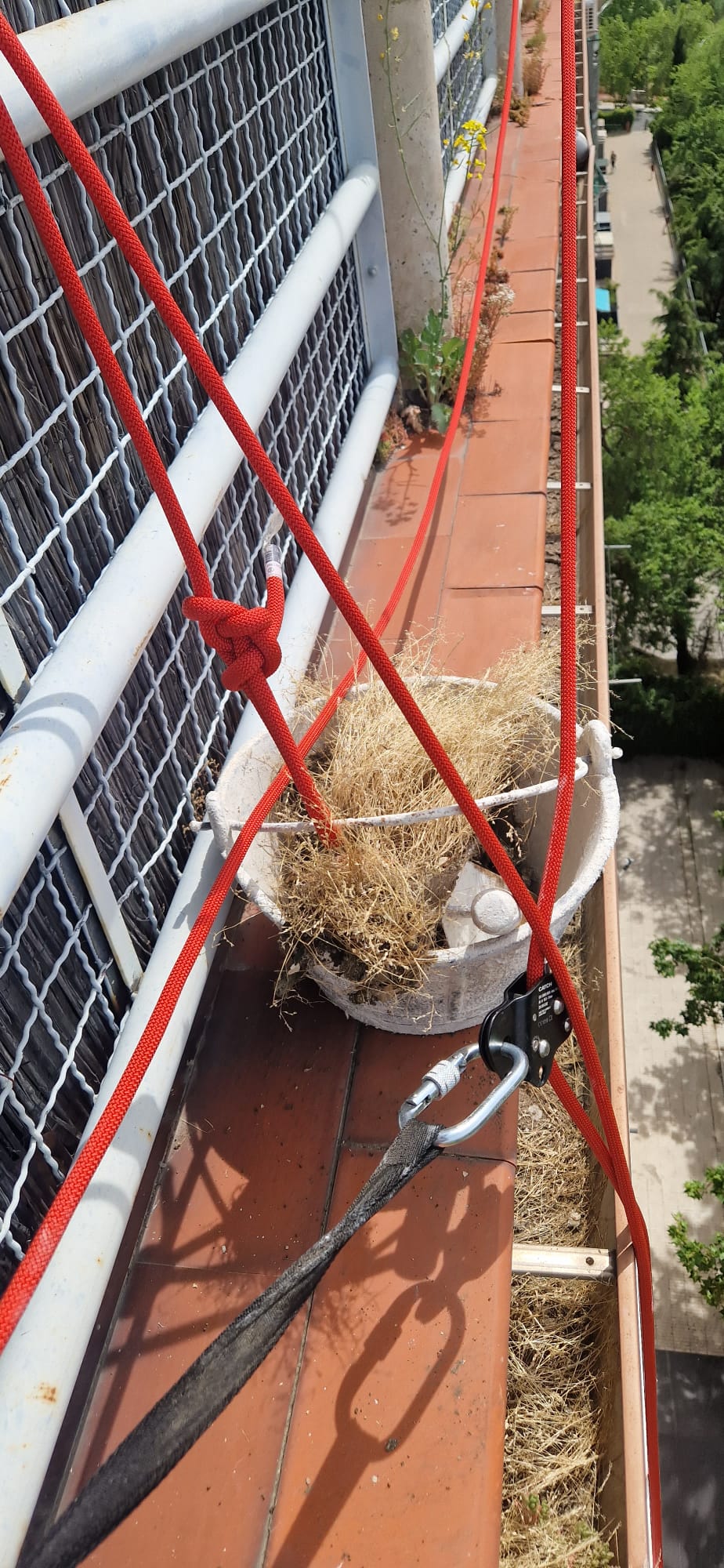 Limpieza de canalón