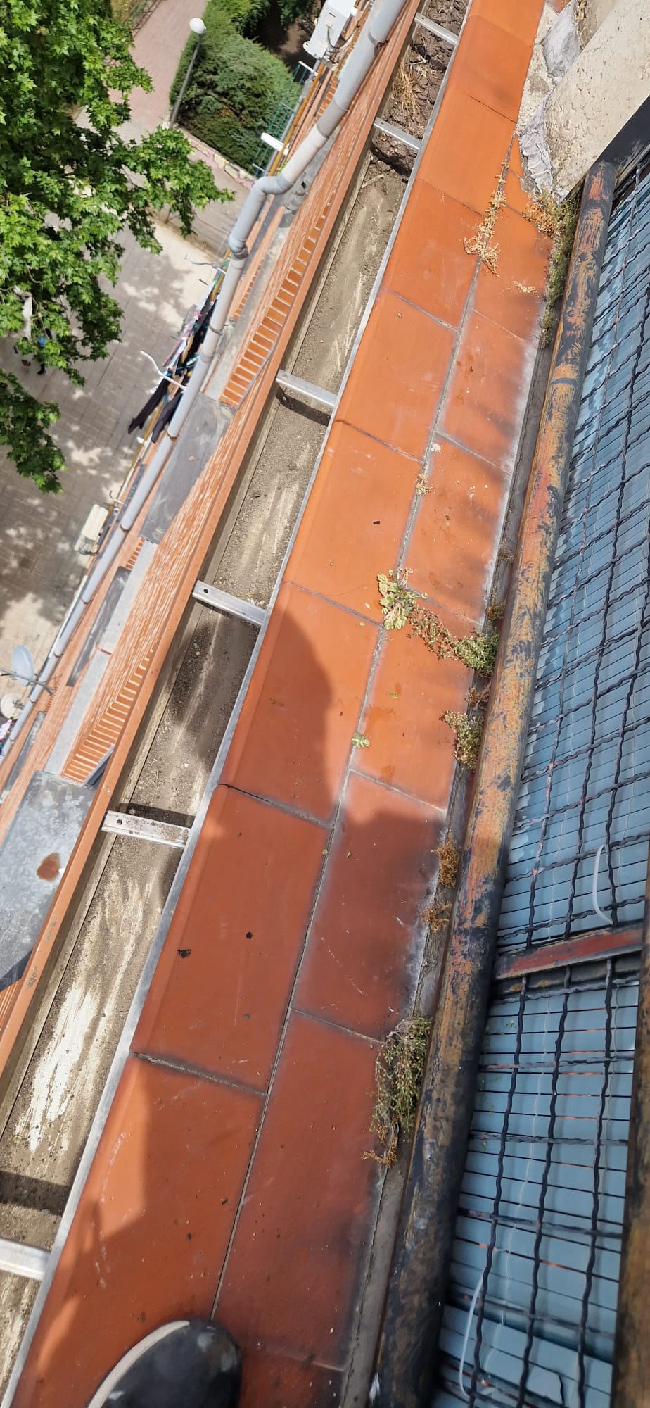 Limpieza de canalón