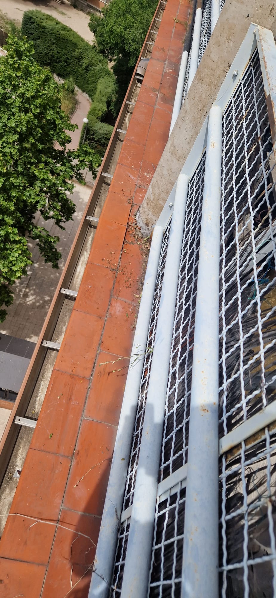 Limpieza de canalón